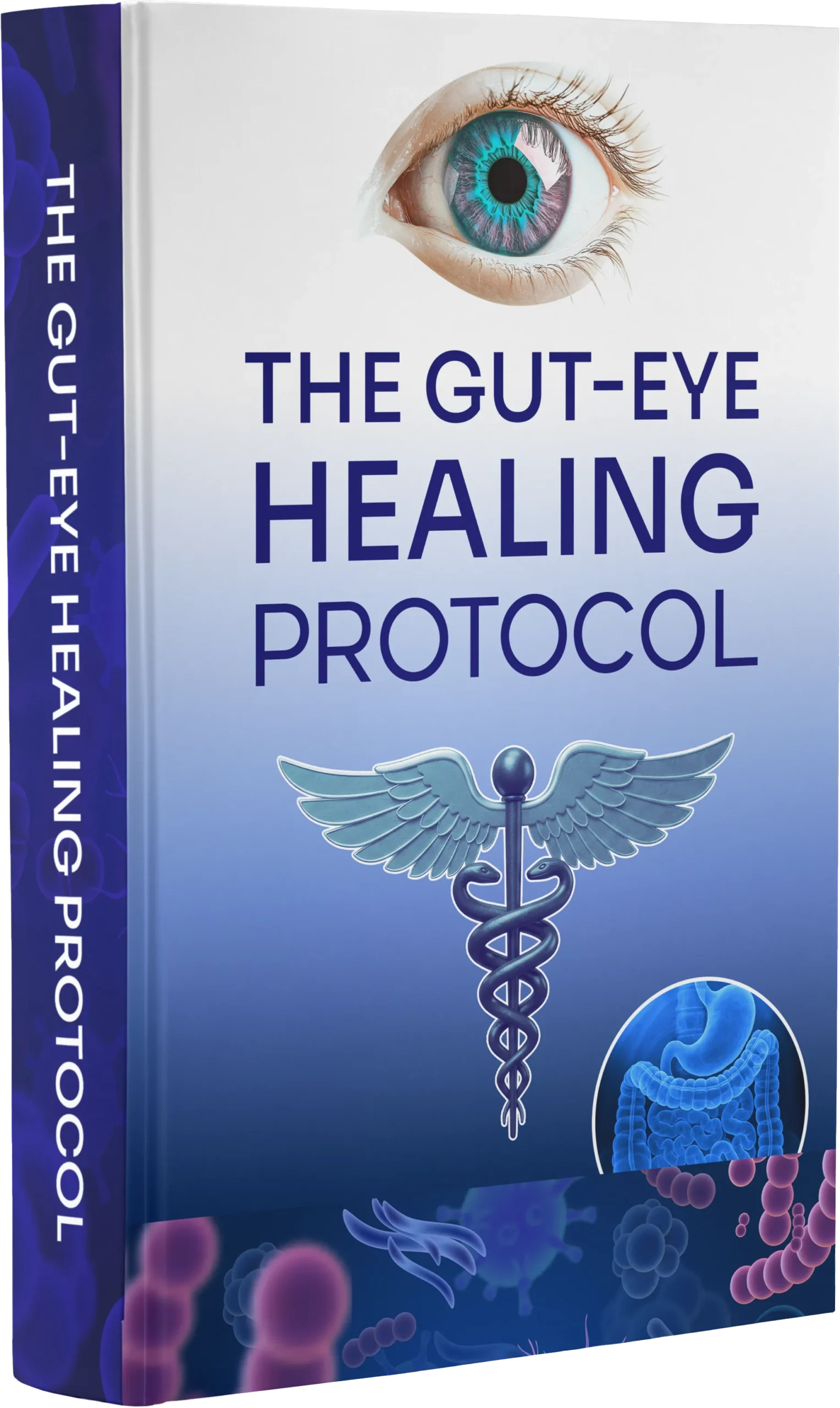 The Gut-Eye Healing Protocol